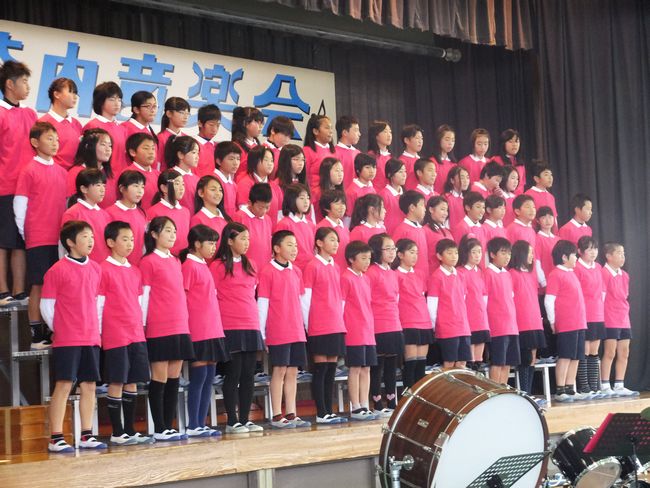 6N