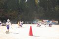 DSC_0170.jpg