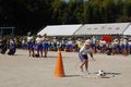 DSC_0183.jpg