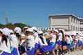 DSC_0201.jpg