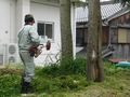kankyou090427_2