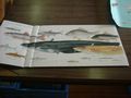 tosyo090604_23