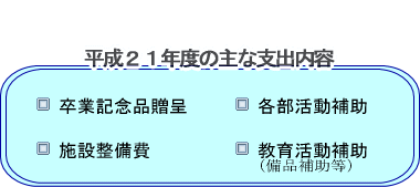 ����21�N�x�̎�Ȏx�o���e